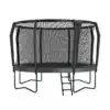 A trampoline with a safety net and a ladder positioned on top, designed for secure and enjoyable jumping experiences.
