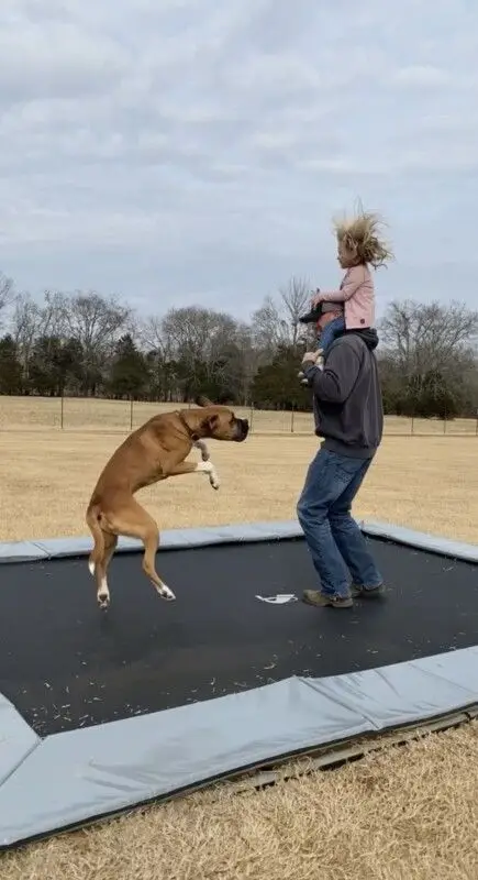 What Older Adults Say About Trampolining
