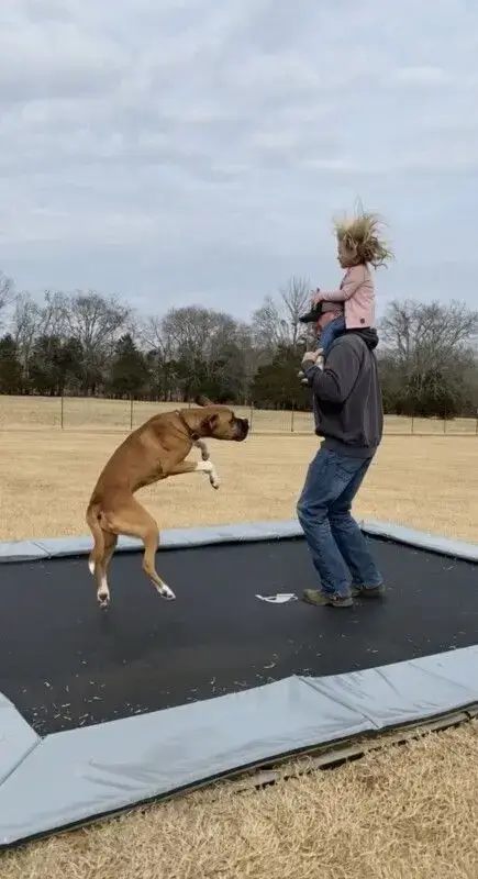 Quiet Calm Sensory Friendly Performance